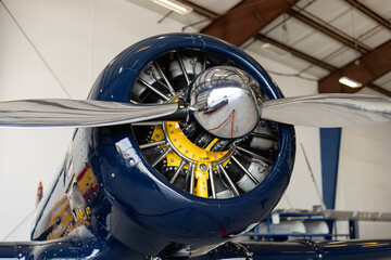 Obraz premium Airplane Propeller