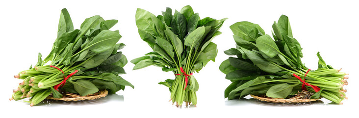 Spinach on white background
