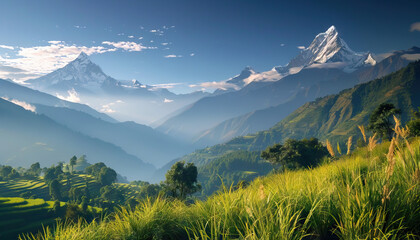 Himalayan Mountain Range with Terraced Hills and Grassland © Lila Patel