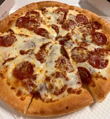 A delicious pizza with a golden crust, melted cheese, and savory toppings. Perfect for food-related designs, menus, or Italian-themed projects, capturing the essence of a classic comfort dish.
