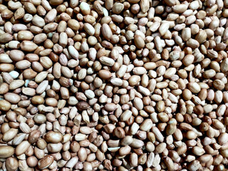 close up of beans, background