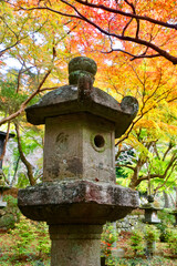 秋の談山神社・石灯籠（奈良県・桜井市）