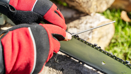 master sharpens chainsaw chain before cutting wood