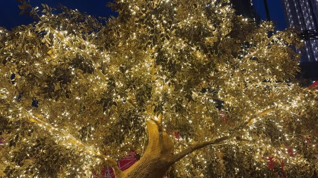 4k footage of illuminated golden tree with LED twinkle lights or icicle lights. Big tree decorated with lights to celebrate seasons greetings, holiday season of Christmas and new year. Night shot.
