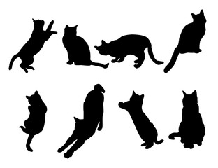 set of cats silhouettes. Cat silhouette vector.  black cat silhouette. cats black silhouette. black cats. set of cat. black cats