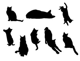 
set of cats silhouettes, Cat silhouette vector, black cat silhouette, cats, black silhouette, black cats, set of cat, black cats
