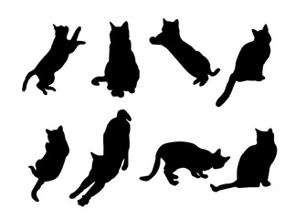 
set of cats silhouettes, Cat silhouette vector, black cat silhouette, cats, black silhouette, black cats, set of cat, black cats