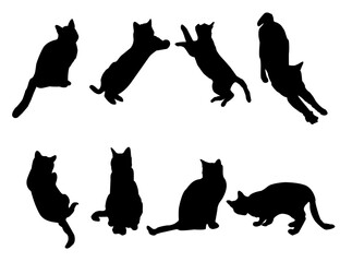 
set of cats silhouettes, Cat silhouette vector, black cat silhouette, cats, black silhouette, black cats, set of cat, black cats