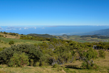 Fototapeta premium Paysage de l'île de la Réunion