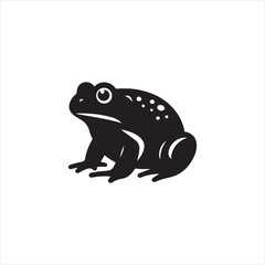 frog on white background