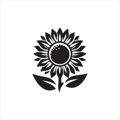 sunflower illustration