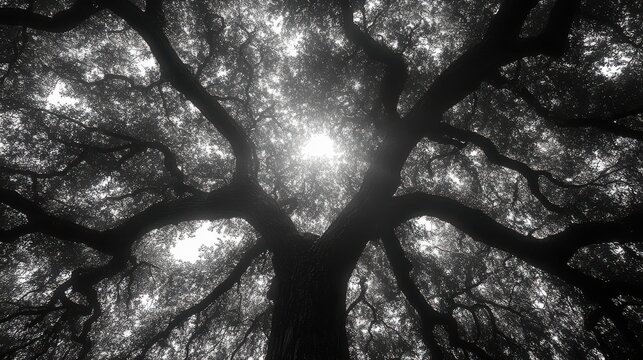 a tree with many branches