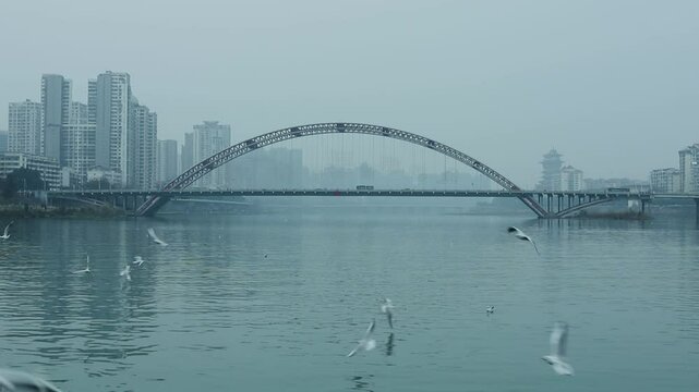 Seagulls fly over the Fule Bridge and the Fujiang River in Mianyang, Sichuan, China