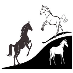 Dynamic illustration of a racehorse and jockey in full stride, capturing the speed, power, and focus of the moment.