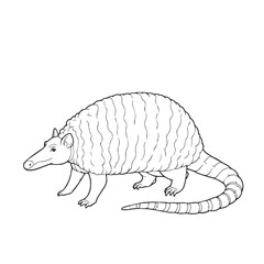 Armadillo  line art vector on white background