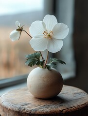Elegant White Orchid on a Minimalist Display - Perfect for Beauty & Wellness