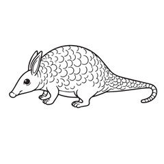 Armadillo  line art vector on white background