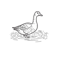 Goose  line art vector on white backgroun