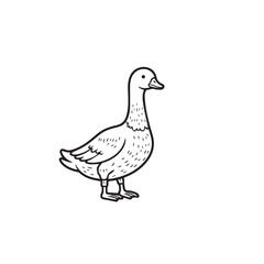 Goose  line art vector on white backgroun