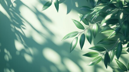 Branches of green leaves casting shadows on a soft green background