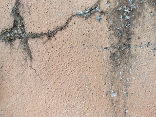 Surface Cracks and Weathering Patterns on a Textured Wall