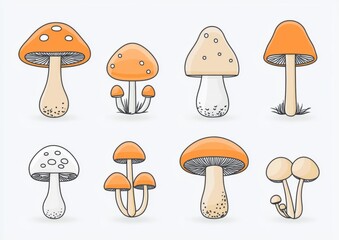 Forest mushroom line icon set