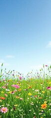 Fototapeta premium Lush green meadow with a variety of wildflowers and grasses swaying gently in the breeze, field, grasses