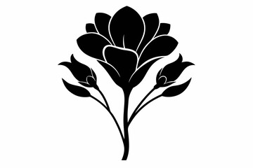 Freesia flower silhouette vector illustration. Freesia Flower Silhouette icon Vector on White Background

