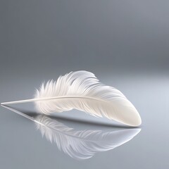 Obraz premium Illustration of a graceful swan feather