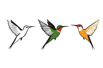 Fototapeta premium Illustration of vibrant hummingbirds in black and white, green with a red neck, and orange with golden wings, showcasing elegance, nature, and diversity in bird design