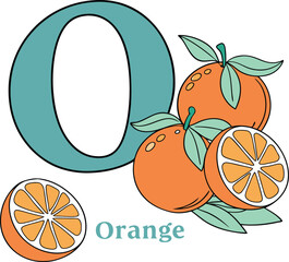 Alphabet O - Orange Fruit Illustration for Kids | Fun and Educational Preschool Learning Concept
