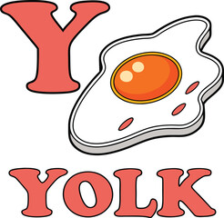 Alphabet Y - Yolk: A colorful and engaging illustration for kids' learning. Perfect for preschool, kindergarten, and early education concepts.