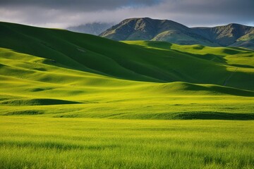 Captivating Green Meadow Landscape Design for Nature Lovers