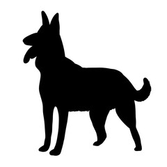 Obraz premium silhouette of a dog