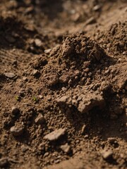Abstract dirt texture background, natural light