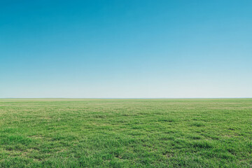 Obraz premium Expansive green field under a clear blue sky in a tranquil rural landscape