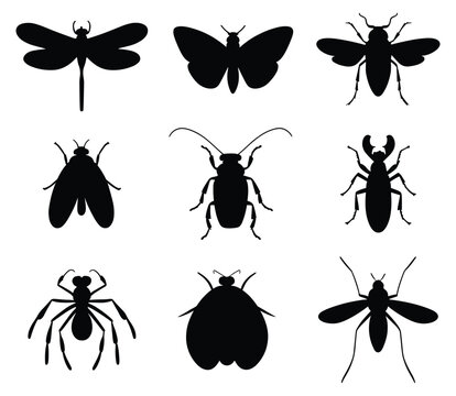Set of insect silhouettes vector illustration