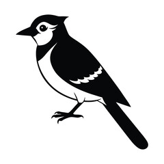 Blue Jay Bird Vector Silhouette