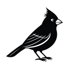 Cardinal Bird Vector Silhouette