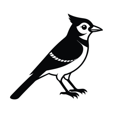 recommend clip art: Blue Jay Bird Vector Silhouette