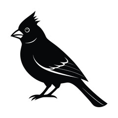 Cardinal Bird Vector Silhouette