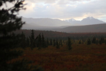 sunrise in the mountains