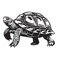 Detailed black and white illustration of a walking land turtle, featuring a textured shell, strong legs, and realistic design. Ideal for logos or artwork. Reptile. Animals.