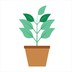 Plant in a tub vector illustration.plant vector.