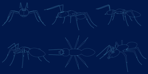6 Set Ant Vector Line Art Illustrations.