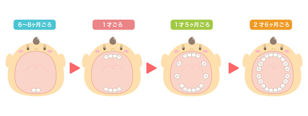乳歯が生える時期の解説と大きな口を開けた赤ちゃんのイラスト