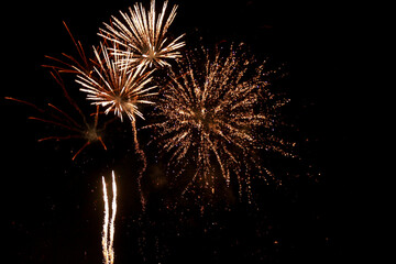 fireworks in the sky