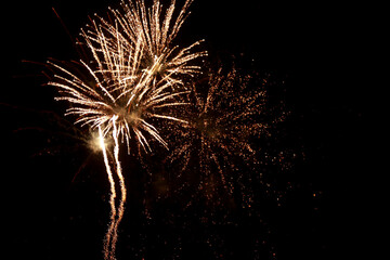 fireworks in the night sky