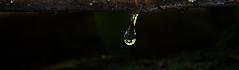 緑色に輝く美しい水滴	