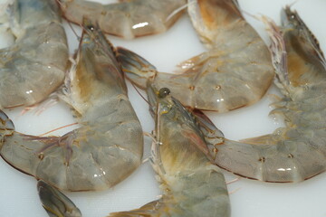 Fresh shrimp is a popular and versatile seafood enjoyed worldwide for its sweet, delicate flavor and tender texture. Shrimp can be prepared in a variety of ways and is a key ingredient in many cuisine